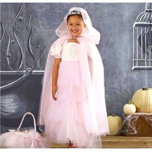 Pottery Barn 3T Pink Princess Costume with Tiara (No Cape)